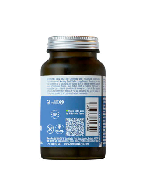 Hifas da Terra | HIFAS-Equilibrium