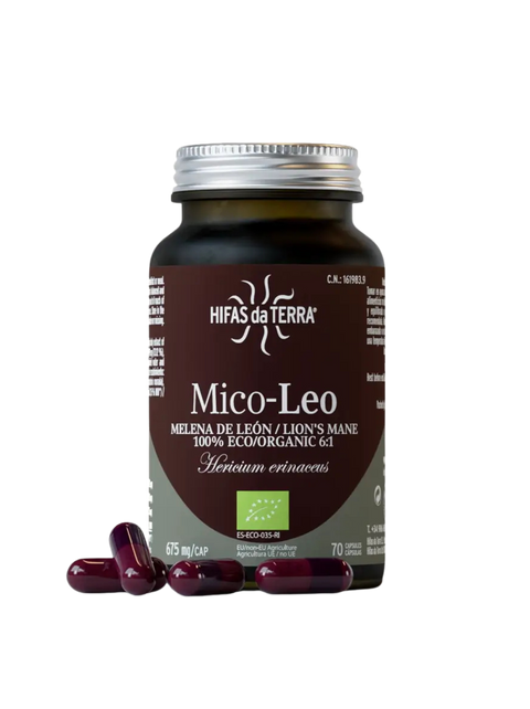 Hifas da Terra | Mico-Leo