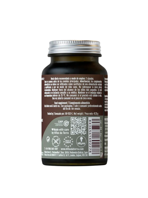 Hifas da Terra | Mico-Leo