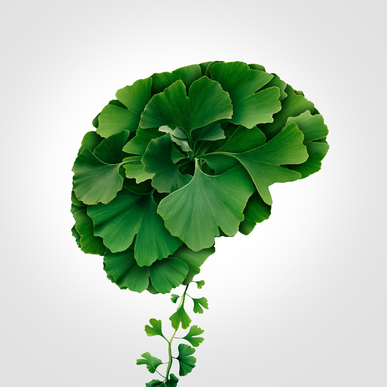 Best Brain Health Supplements London