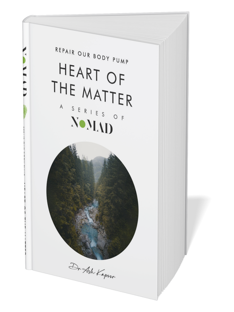 Heart of the Matter by Ash Kapoor