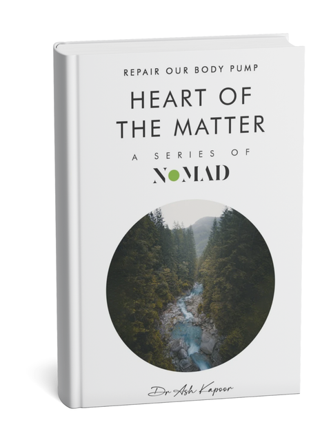 Heart of the Matter by Ash Kapoor