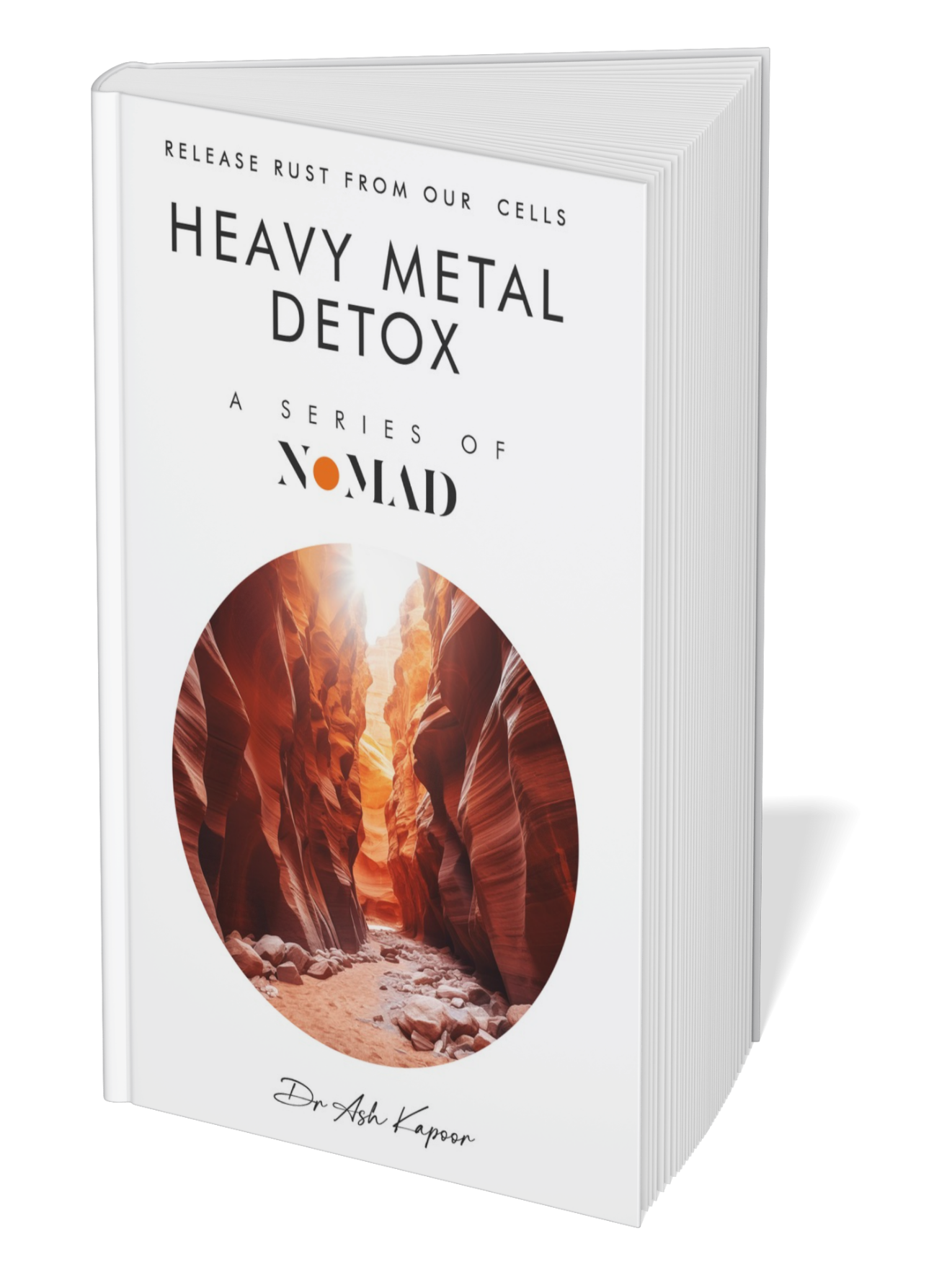 Heavy Metal Detox by Ash Kapoor