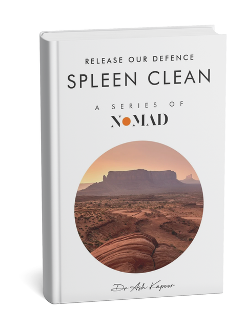 Spleen Clean by Ash Kapoor