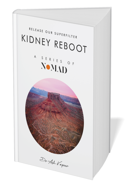 Kidney Reboot by Ash Kapoor