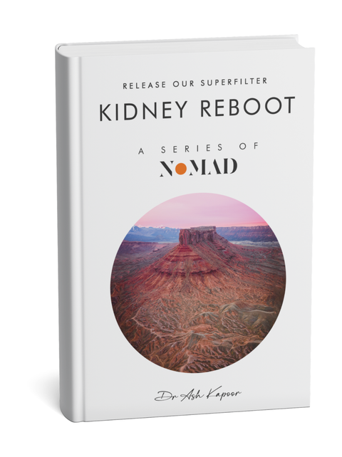 Kidney Reboot by Ash Kapoor