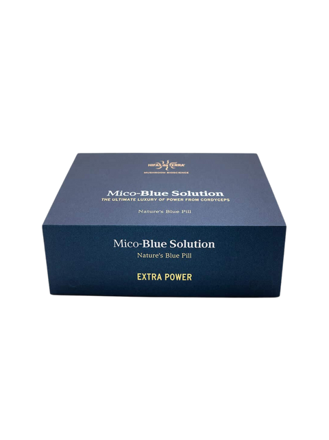 Hifas da Terra | Mico-Blue