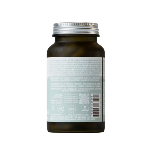 Hifas da Terra | HIFAS-Neuro