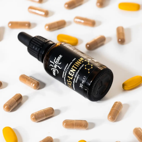 Hifas da Terra | HIFAS-Lentinan