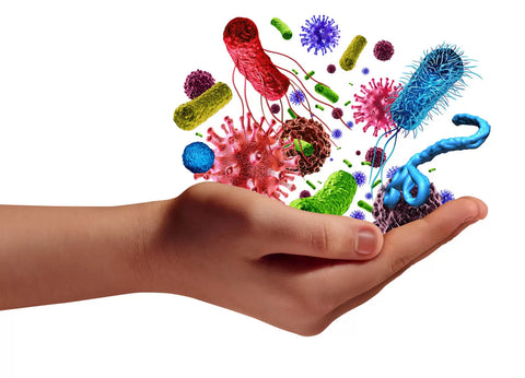Immune Support Supplements in London