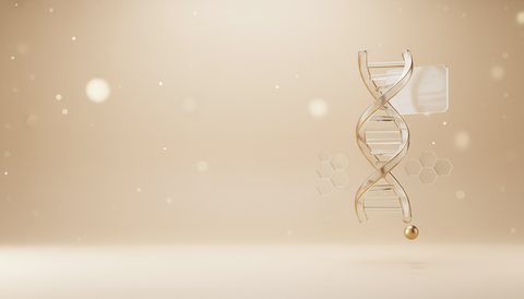 Collagen Supplements