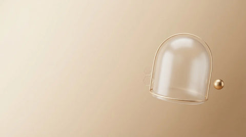 Immune Health Support Supplements