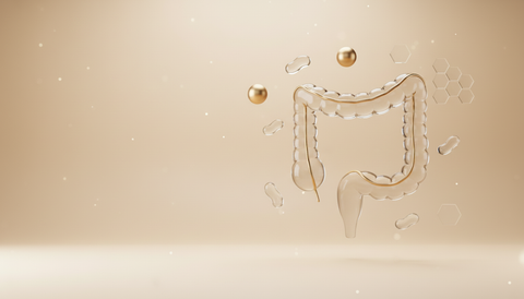 Probiotics & Gut Support