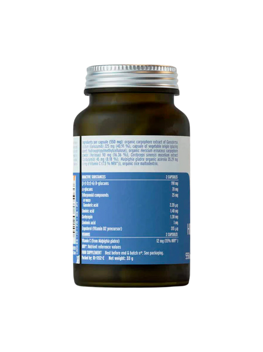 Hifas da Terra | HIFAS-Equilibrium