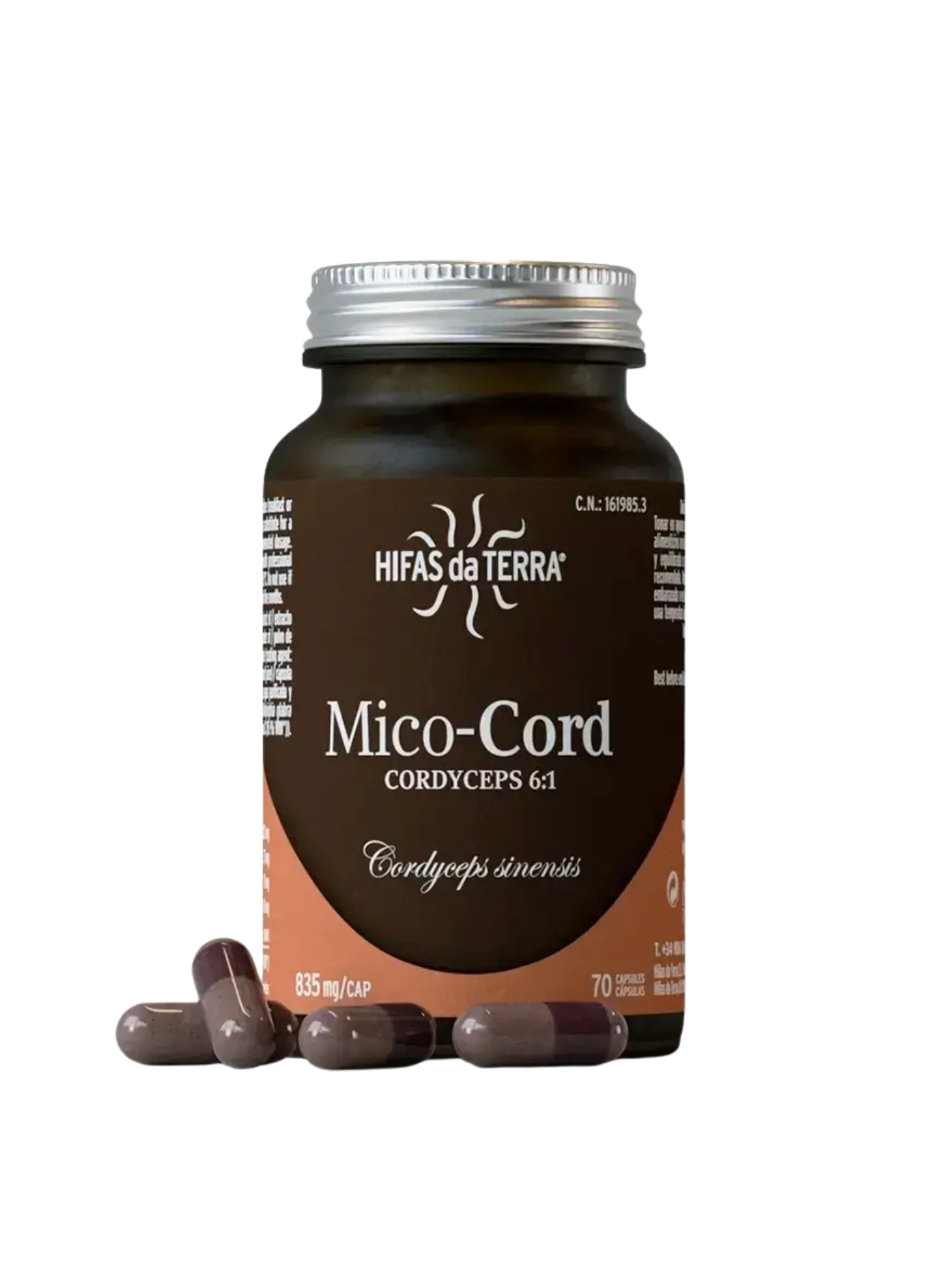 Hifas da Terra | Mico-Cord