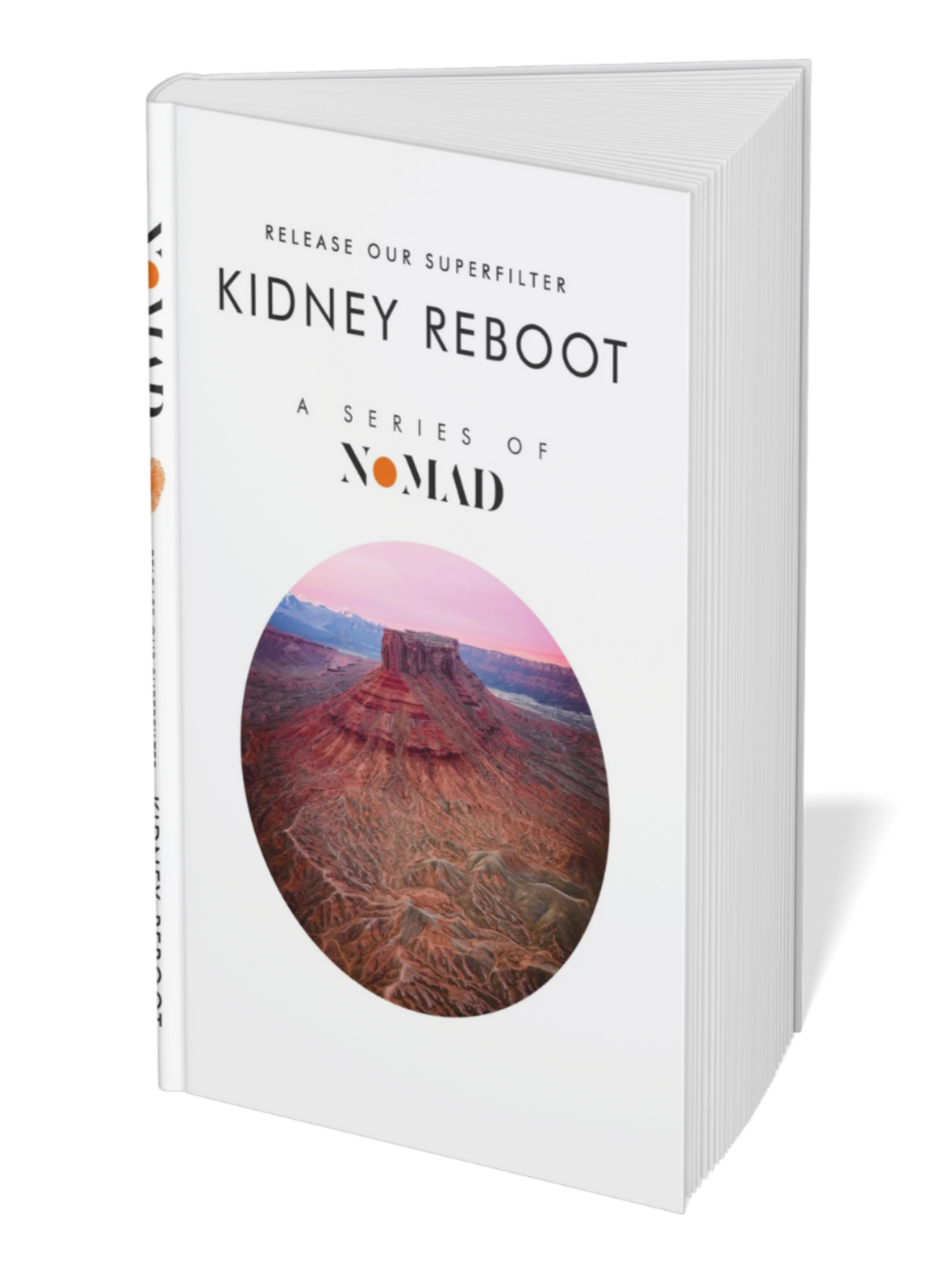 Kidney Reboot