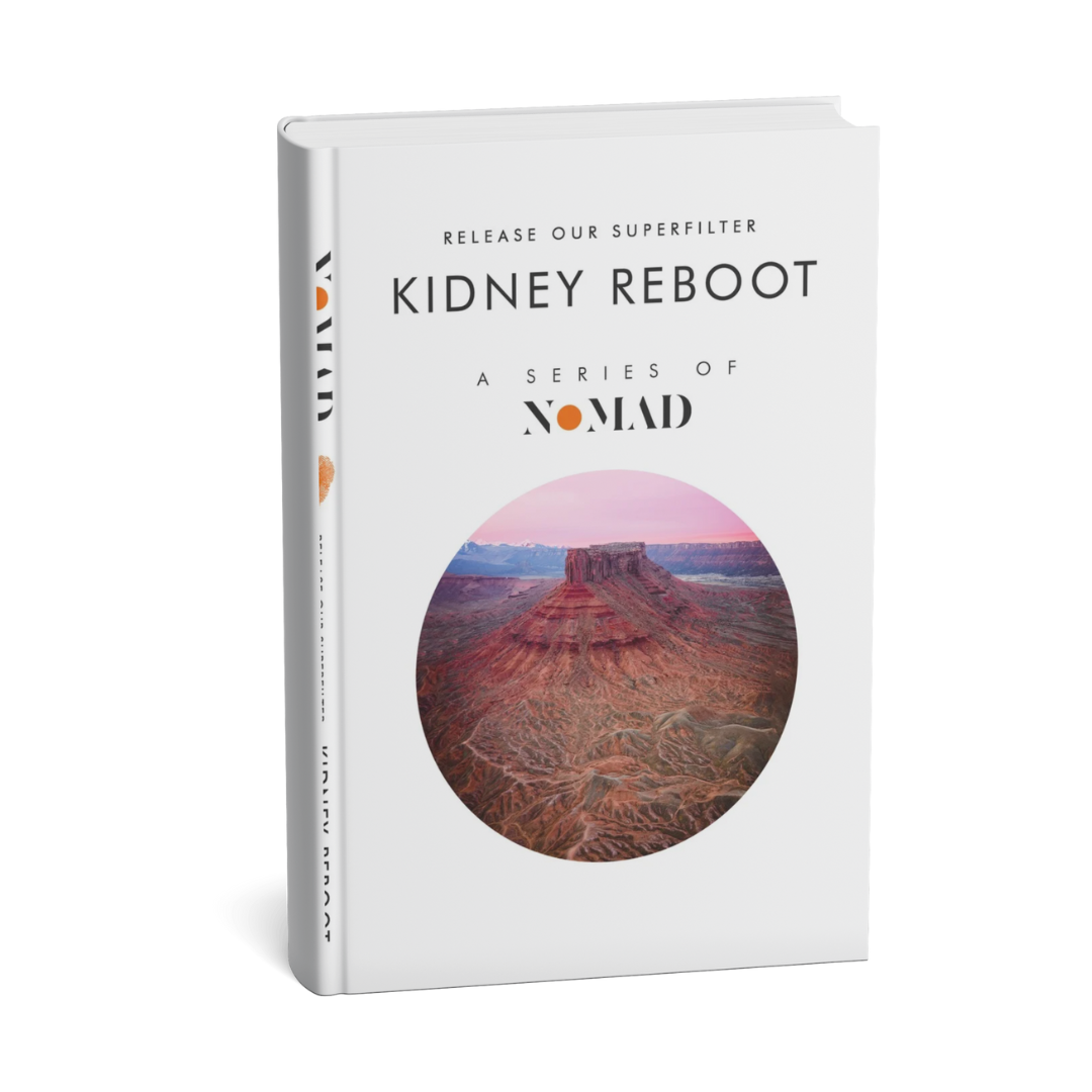 Kidney Reboot