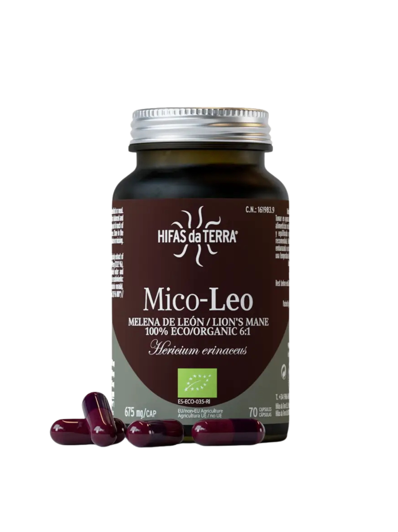 Hifas da Terra | Mico-Leo