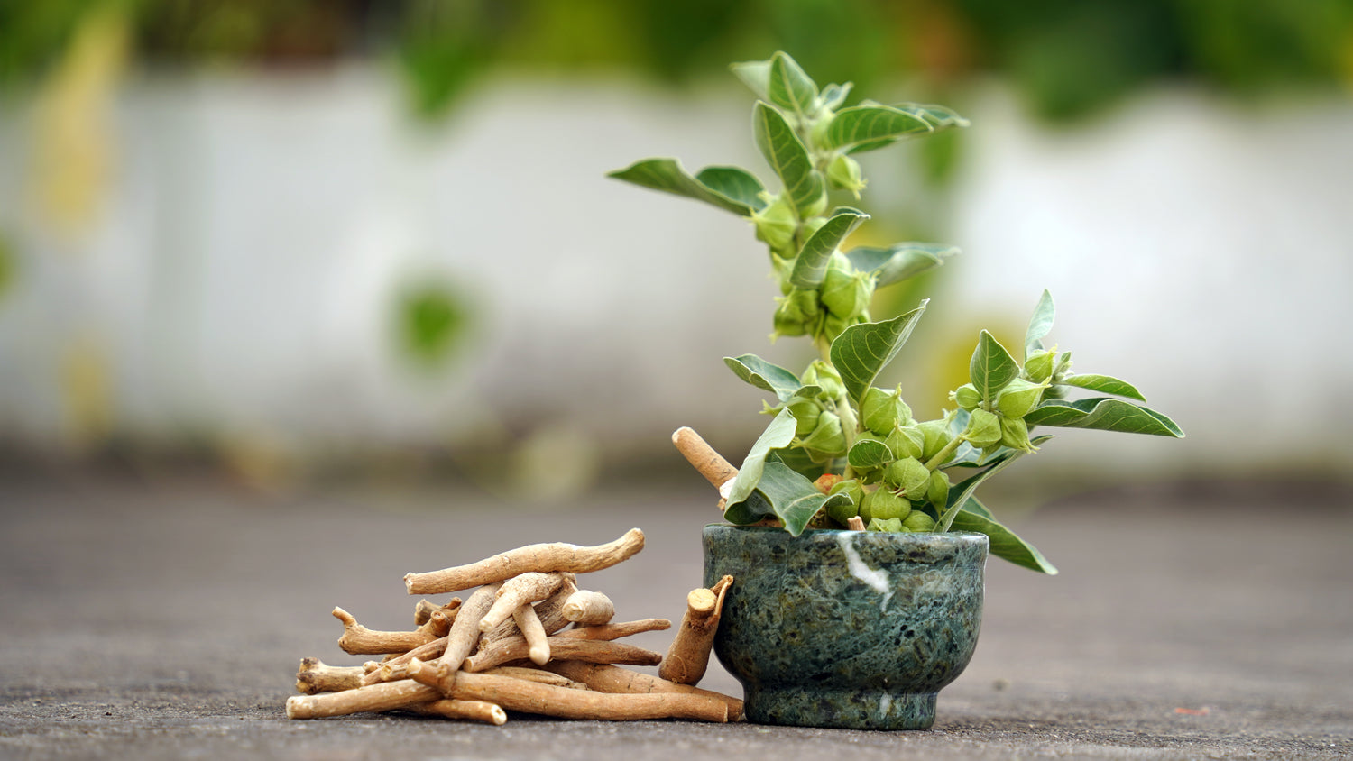 Best Adaptogen Supplements London