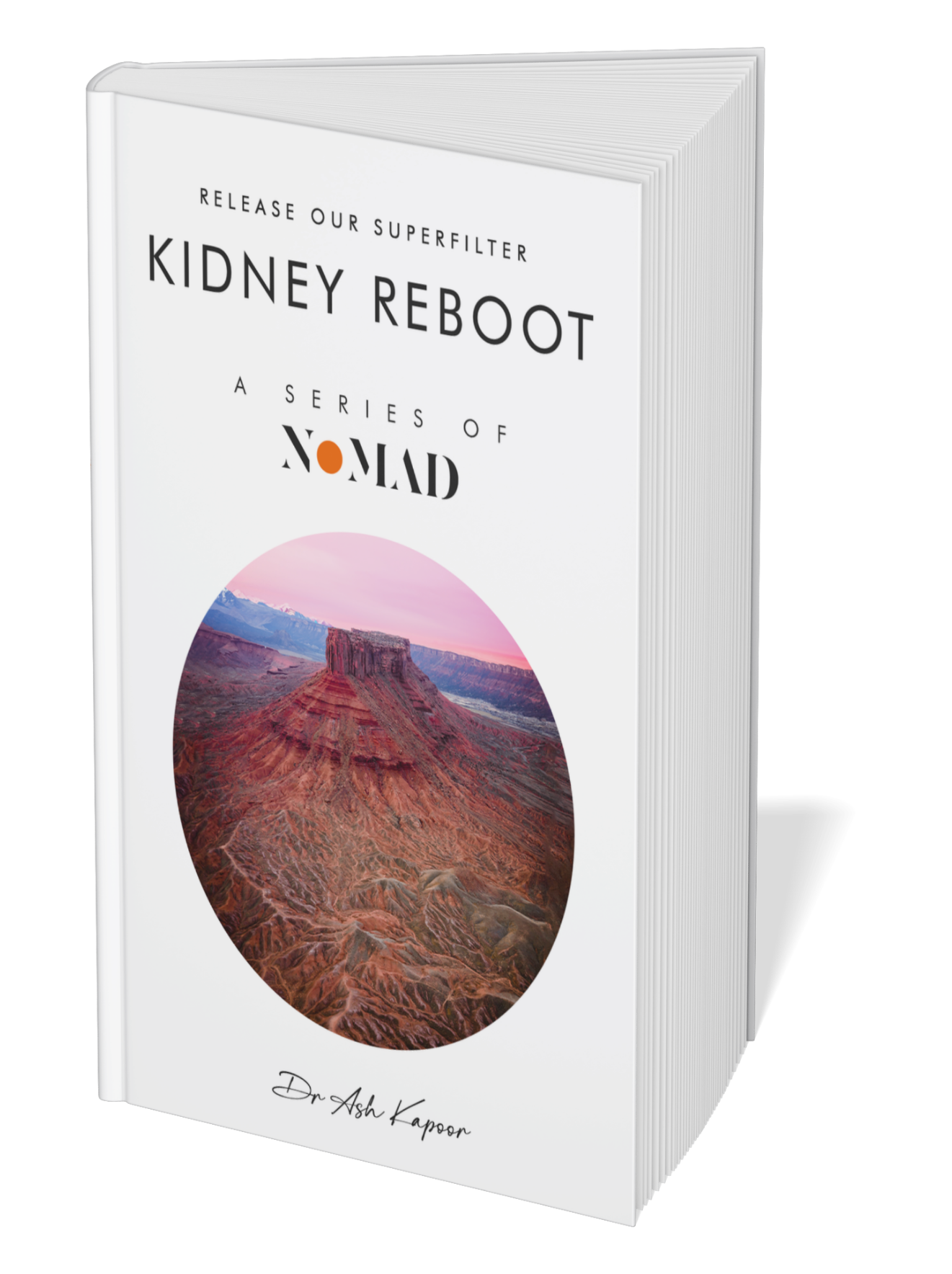 Kidney Reboot