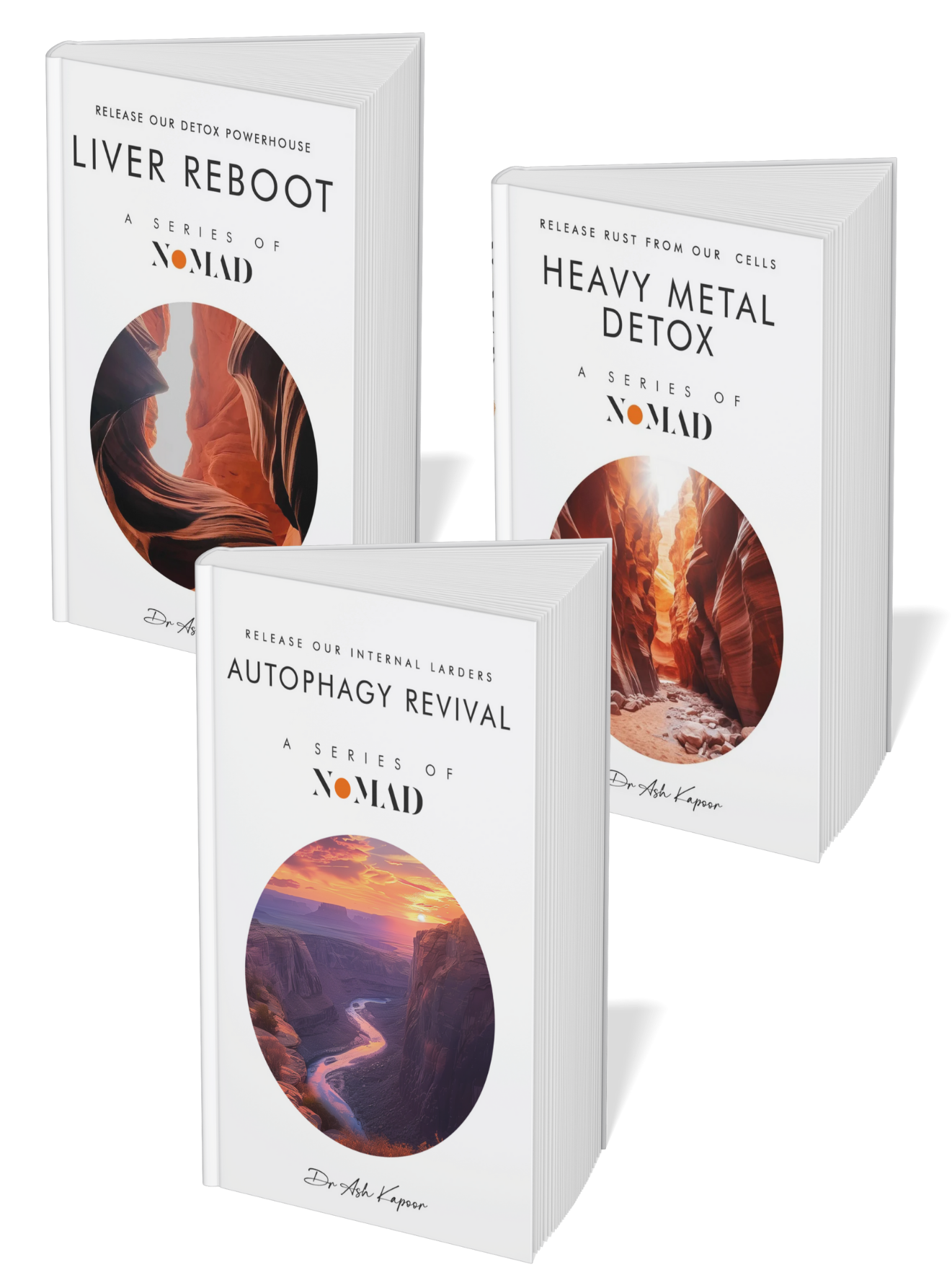 NoMAD Detox Bundle