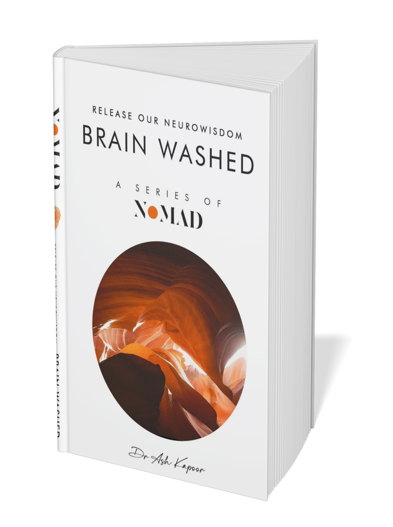 NoMAD Brain Book Bundle