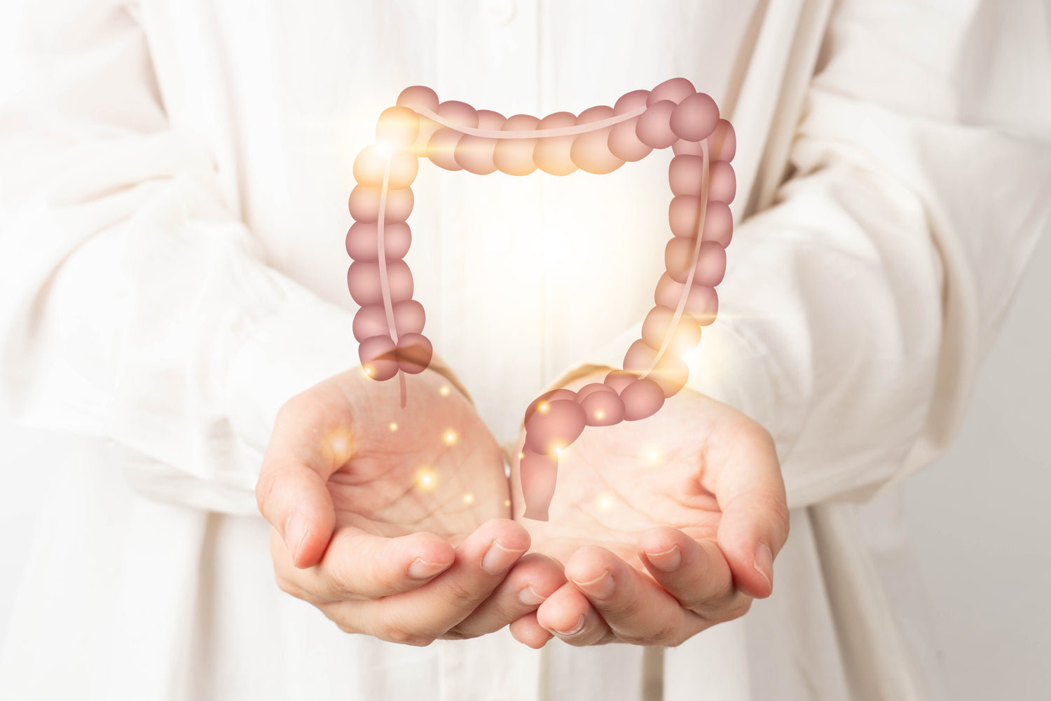 Natural Probiotics Supplements London