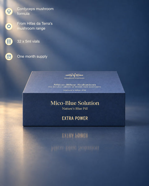 Hifas da Terra | Mico-Blue